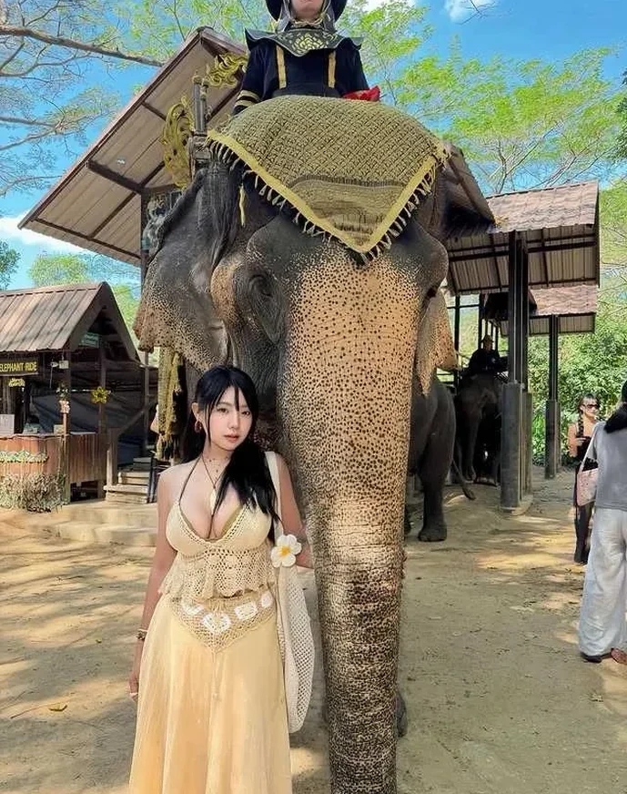 @asiasharkyx.ig